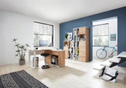 Aktenschrank LIONI -Segmueller Verkäufe 0484533 007 1280x1280