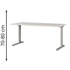 Germania Schreibtisch Profi 2.0, 4253-583, Höhenverstellbar, 180 X 70-80 X 80 Cm, Lichtgrau