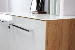 Aktenschrank Monteria 9 Aktenschrank Monteria -Segmueller Verkäufe FJPG S700 238