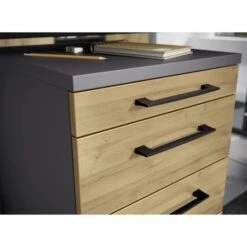 Germania Rollcontainer Profi 2.0, Holz, Grandson-eiche / Graphit, Mit 4 Schüben 8 Germania Rollcontainer Profi 2.0, Holz, Grandson-eiche / Graphit, Mit 4 Schüben -Segmueller Verkäufe ca58bd11cc2bb01e8527edf6e47d7427636ad494 rollcontainer germania profi 2.0 holz